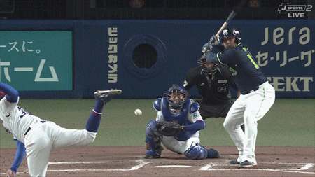 中日・石伊の頭部にオスナのバット直撃　球場騒然…16日には球審が救急搬送