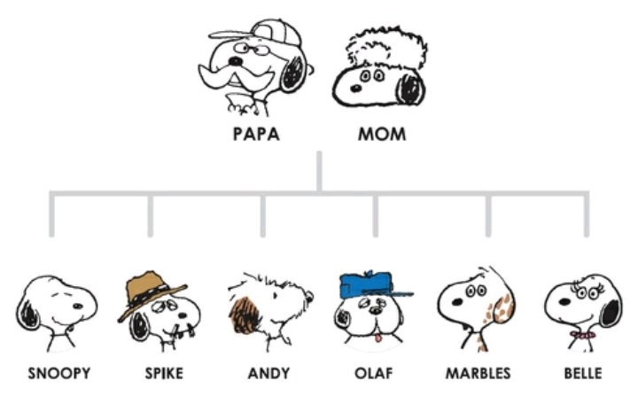 スヌーピー好きな人