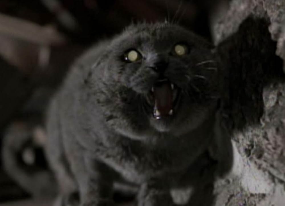 ホラー映画の画像を貼って666コメントを目指すトピ