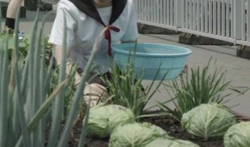 クリエイターに教養は必要か?