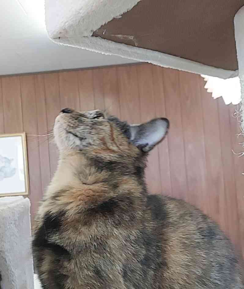 PRODUCE 101 JAPAN 新世界を語りたい Part3