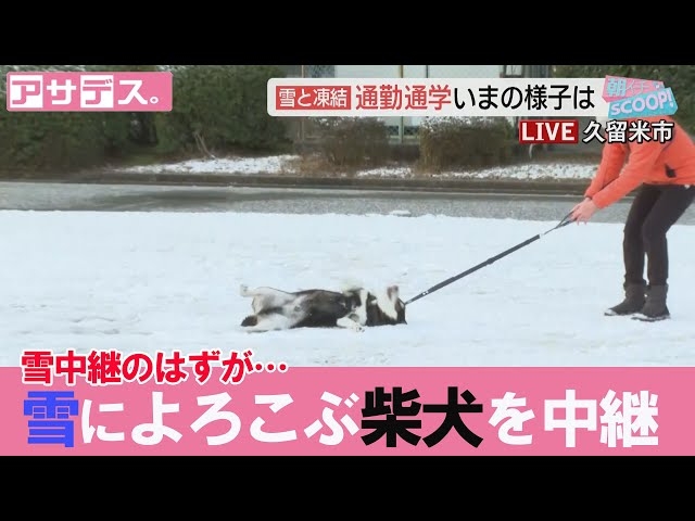 寝る前にクスッとする画像part9