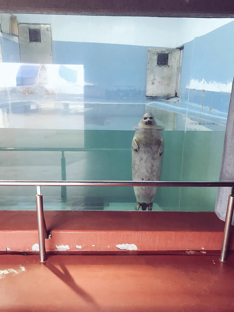 寝る前にクスッとする画像part9
