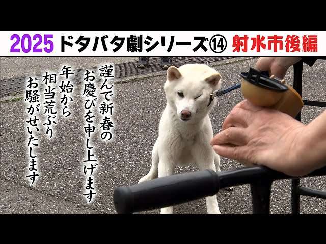 寝る前にクスッとする画像part9