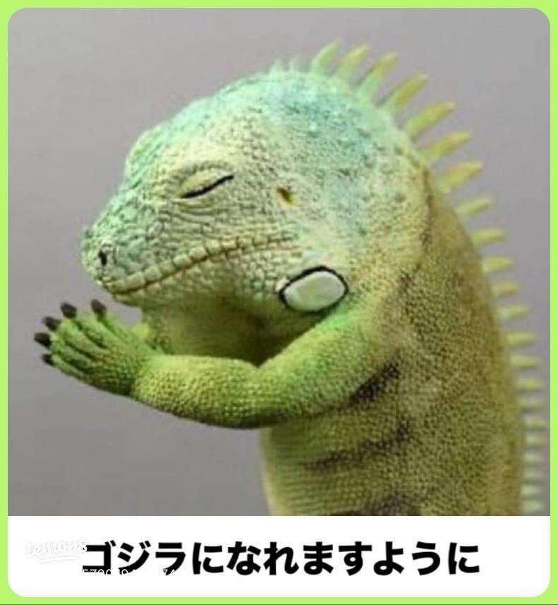 寝る前にクスッとする画像part9