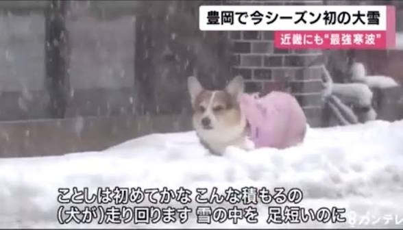 寝る前にクスッとする画像part9
