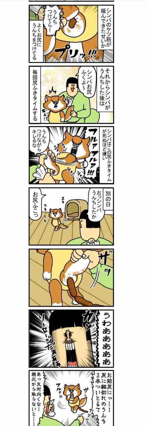 まめきちまめこを語ろう!