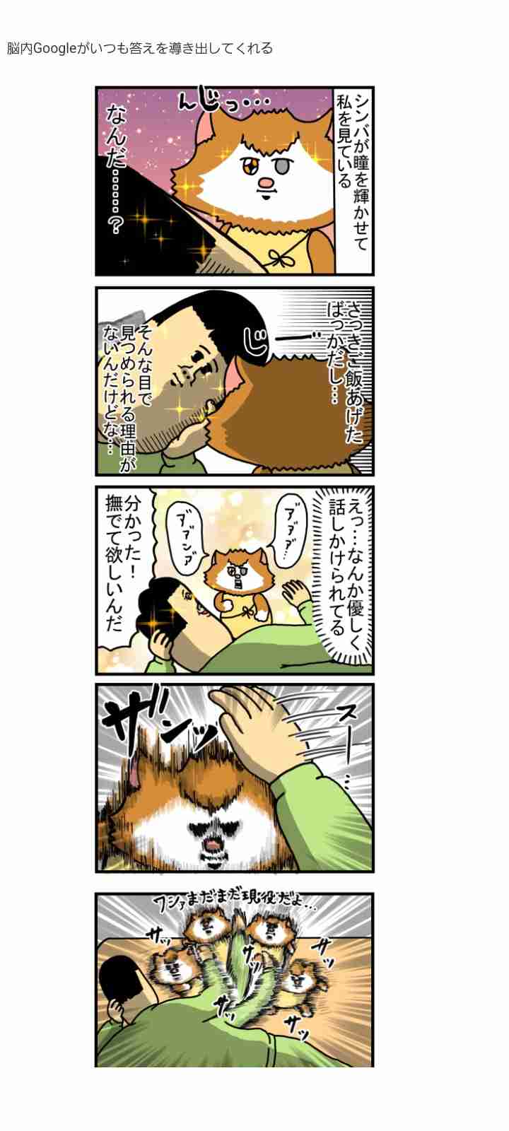 まめきちまめこを語ろう!