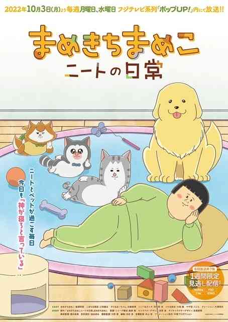まめきちまめこを語ろう!