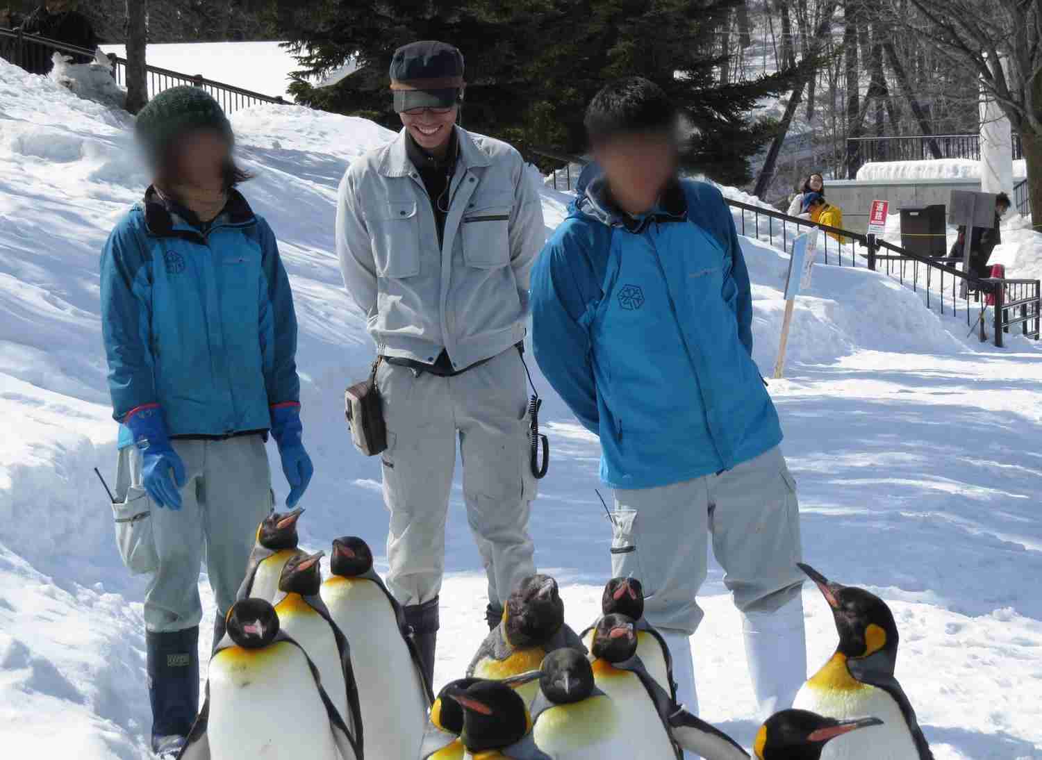 妻の遺体損壊容疑で33歳の男を逮捕 勤務先の旭山動物園の焼却施設に運び込み…職員の逮捕を受け今津寛介旭川市長「心より深くお詫び」とコメント