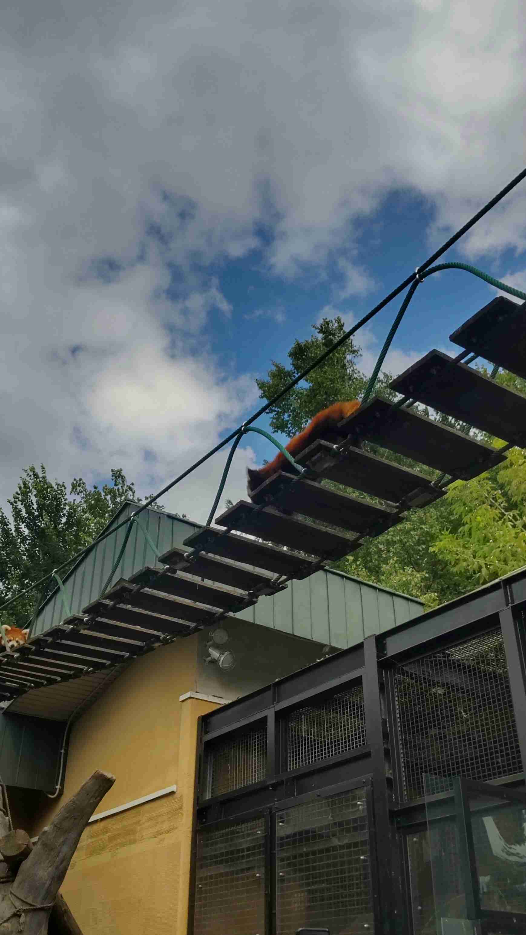 妻の遺体損壊容疑で33歳の男を逮捕 勤務先の旭山動物園の焼却施設に運び込み…職員の逮捕を受け今津寛介旭川市長「心より深くお詫び」とコメント
