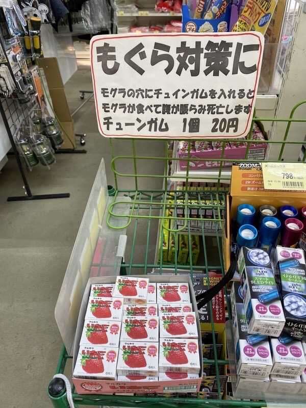 モグラの害に悩んでる人いない？