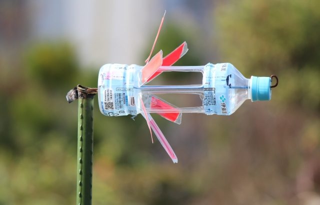 モグラの害に悩んでる人いない？