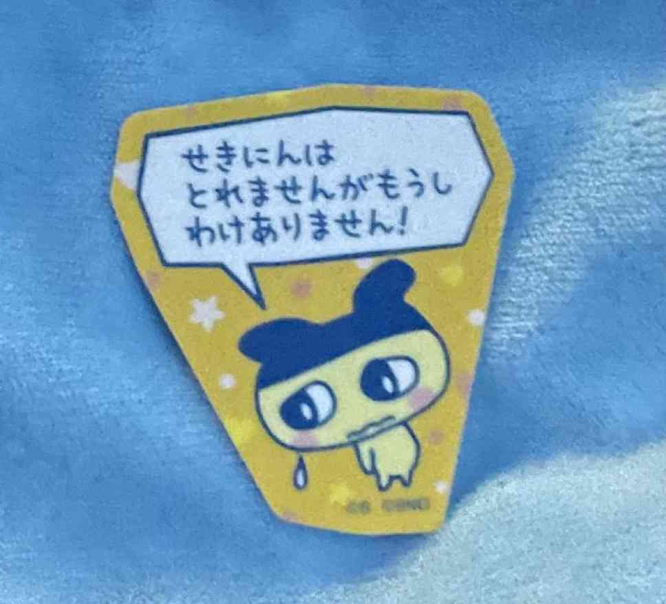 今日のごめんなさい