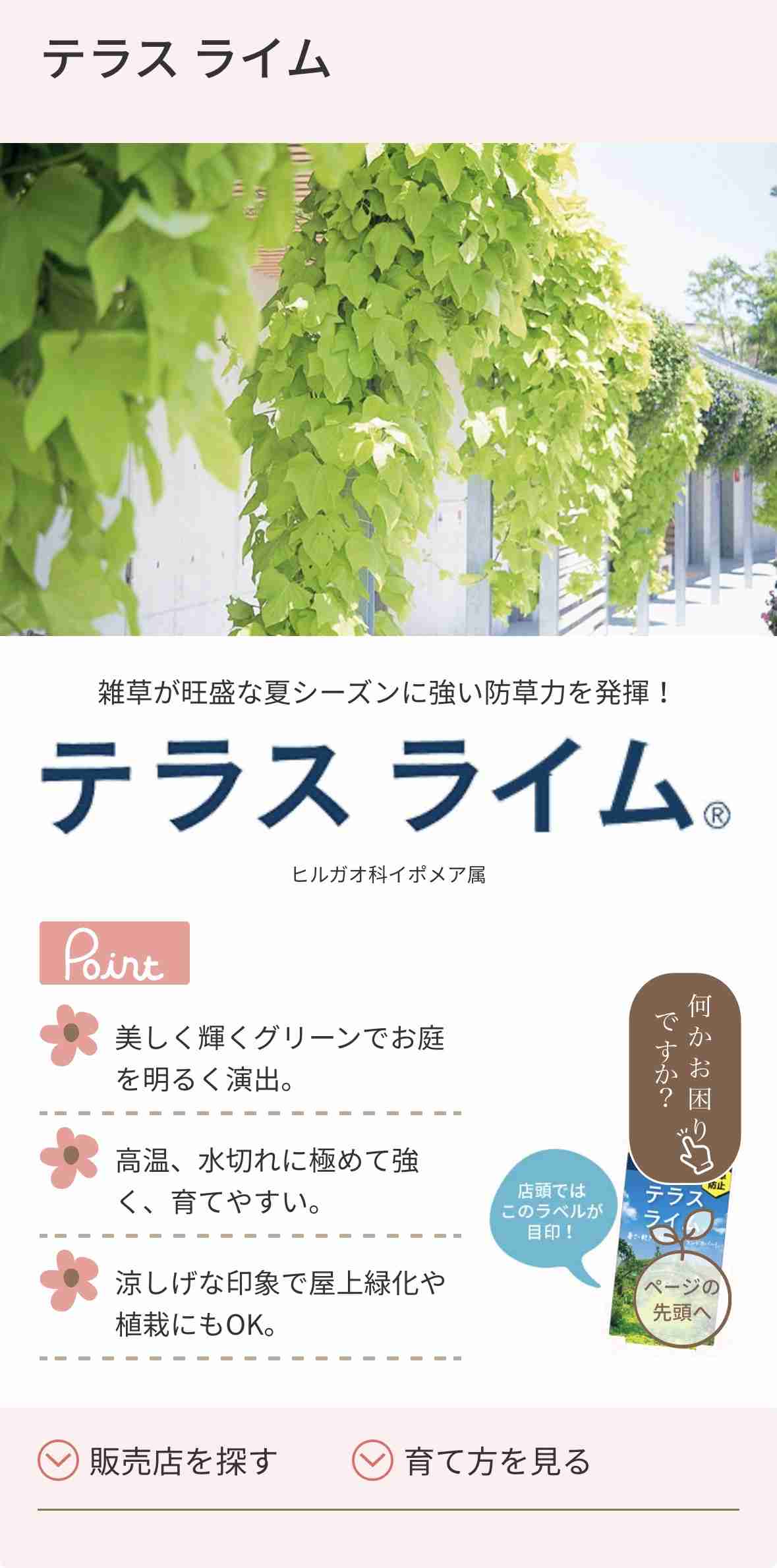 【どう思う？】「自転車専用道を作る場所がない」なんて大嘘だ！ 今すぐ歩道の植え込みを撤去せよ！