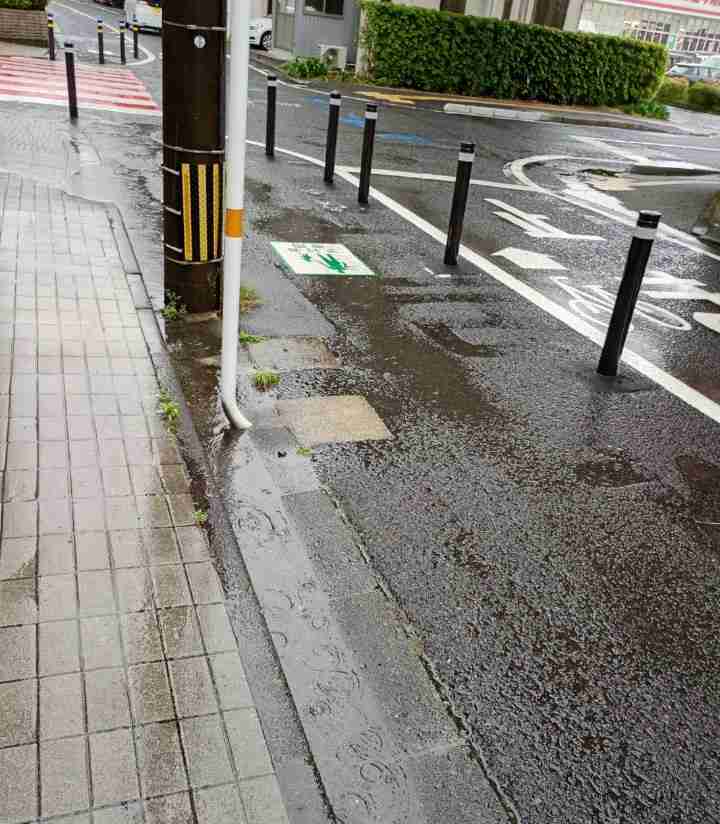 【どう思う？】「自転車専用道を作る場所がない」なんて大嘘だ！ 今すぐ歩道の植え込みを撤去せよ！