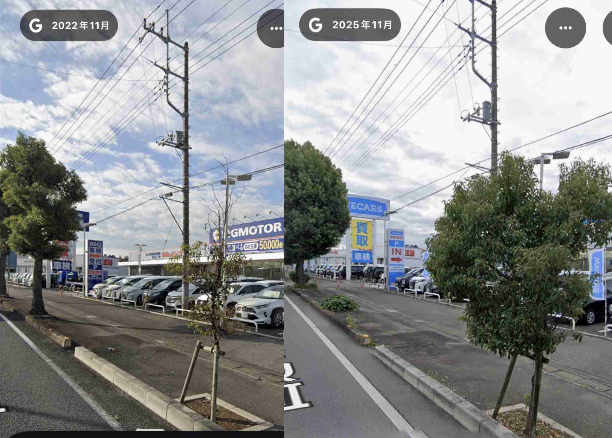 【どう思う？】「自転車専用道を作る場所がない」なんて大嘘だ！ 今すぐ歩道の植え込みを撤去せよ！