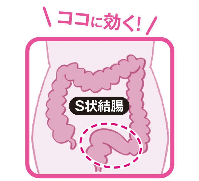 『ナイトスクープ』「真面目に世紀の大発明じゃね？」便秘解消？「瞬間うんこ法」が話題…「腸とうんことケツの穴を感じる」
