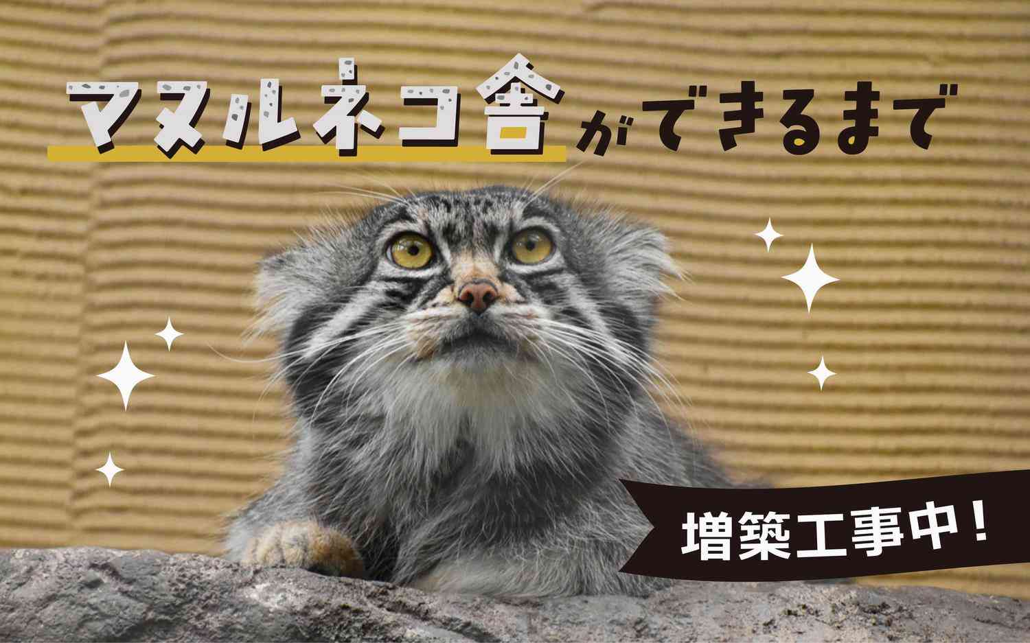 「数時間にわたって燃やした」30代妻の遺体を勤務先の動物園に遺棄か　事情聴取で夫が供述するも遺体見つからず　北海道・旭山動物園