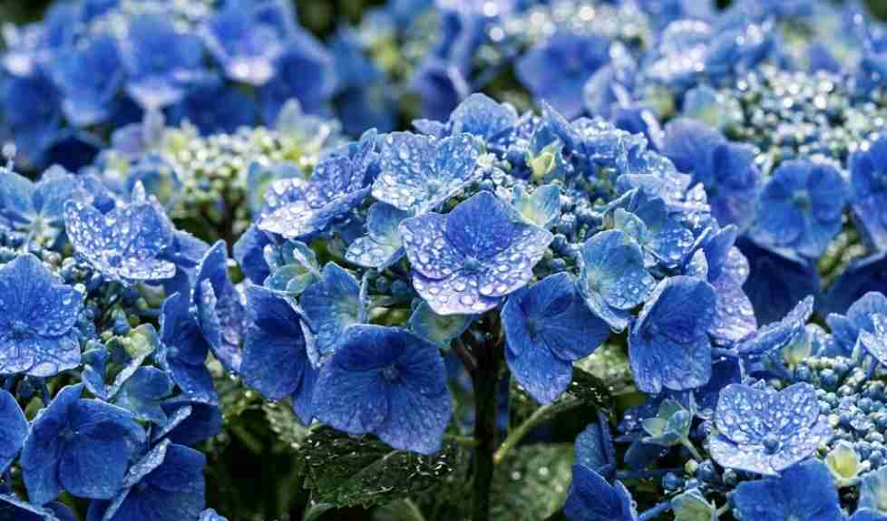 発達障害グレーの子のかかわり方