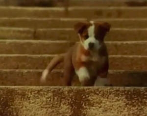 昔好きだったCM