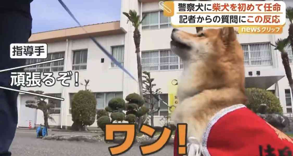 ポイント貯めてますか？