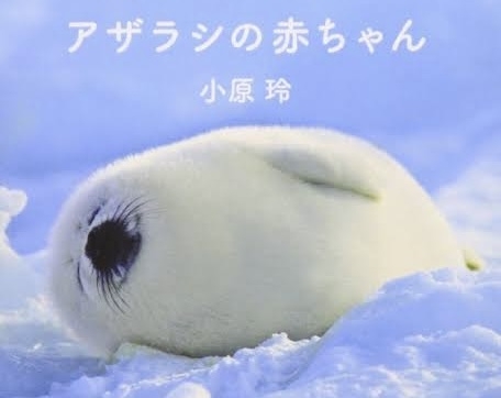 ダイエットがつらい