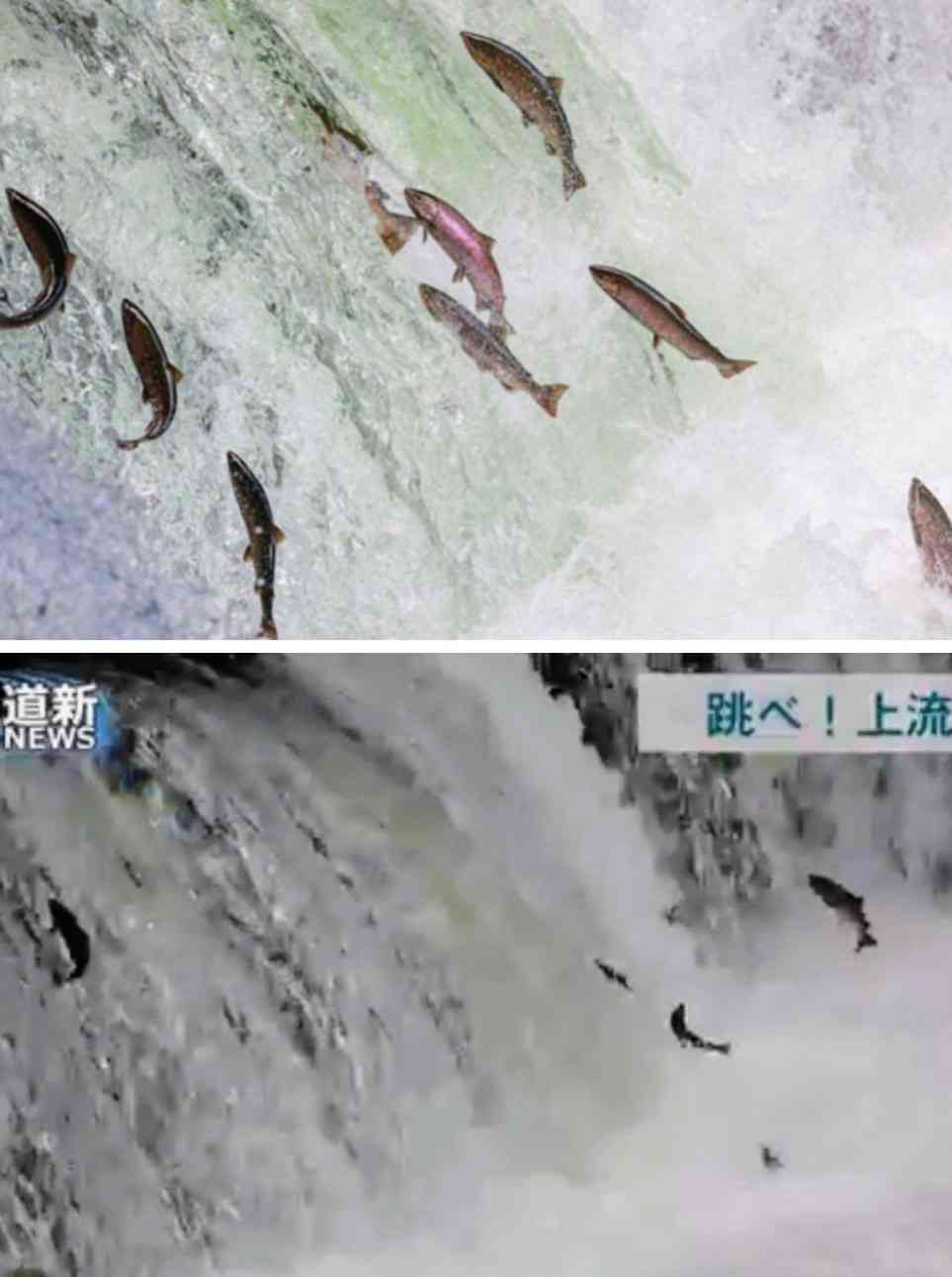 知った時に「うっそー！」と思ったこと