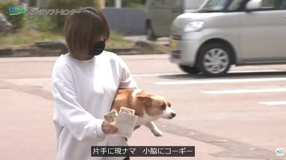 何度見ても飽きない画像を貼るトピ Part10