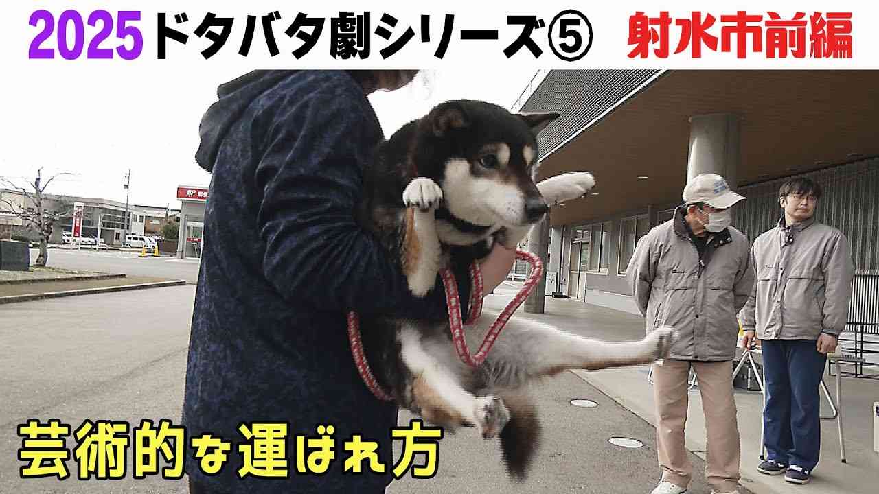 何度見ても飽きない画像を貼るトピ Part10