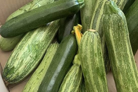 【ジョジョの奇妙な冒険】DIO（ディオ・ブランドー）を語りたい