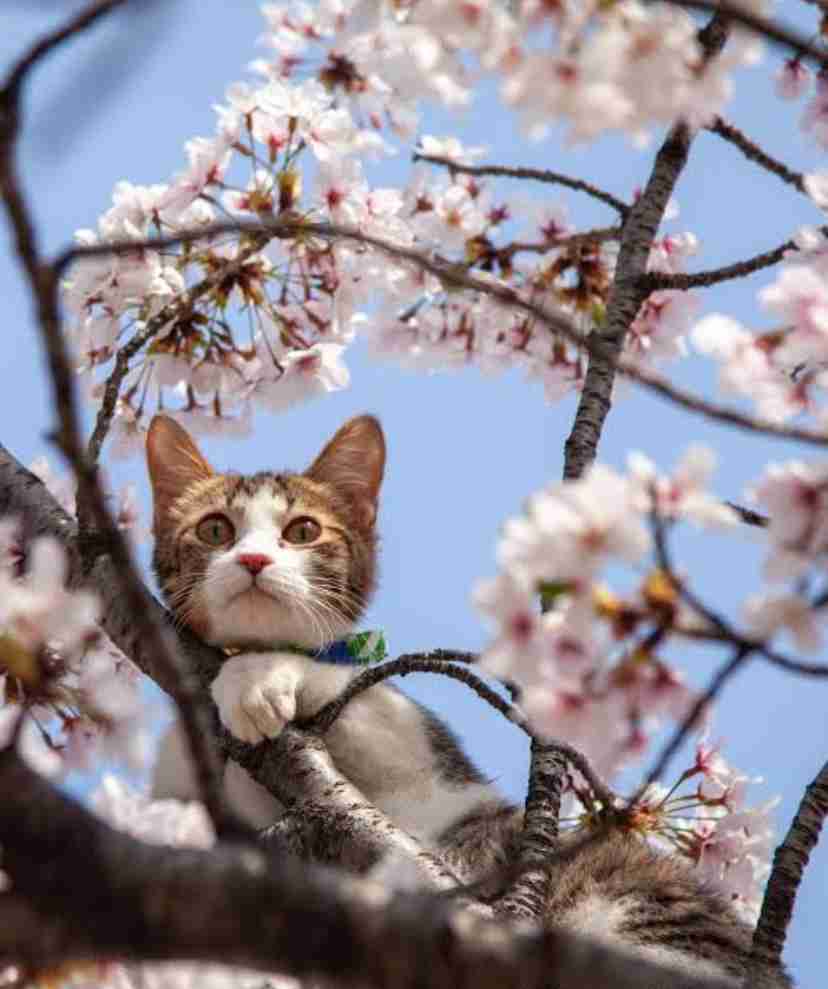 働く事に疲れた人が立ち寄るトピpart3