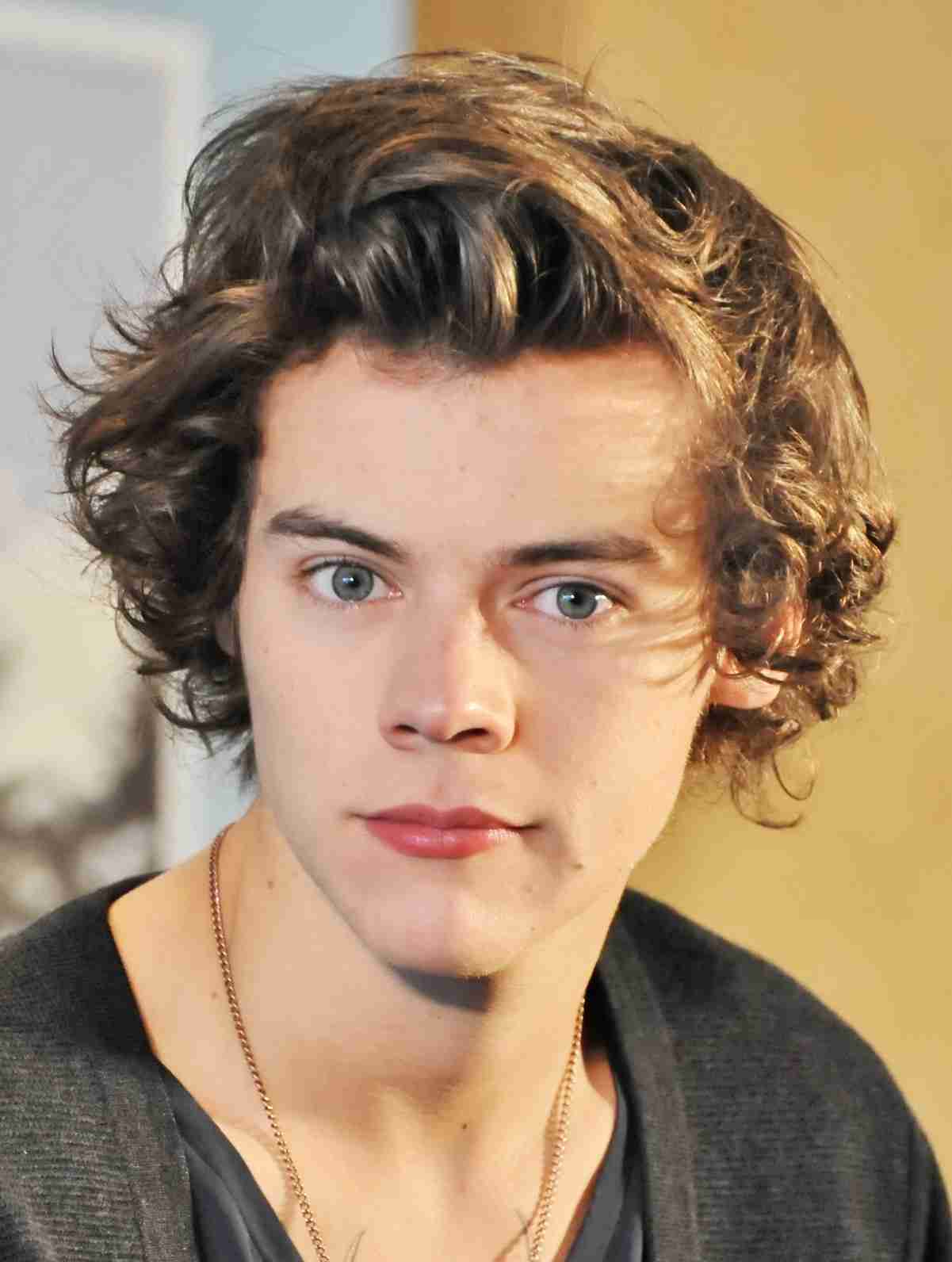 ハリー・スタイルズ、ゾーイ・クラヴィッツと婚約か　英でキスショット…左手薬指には指輪キラリ