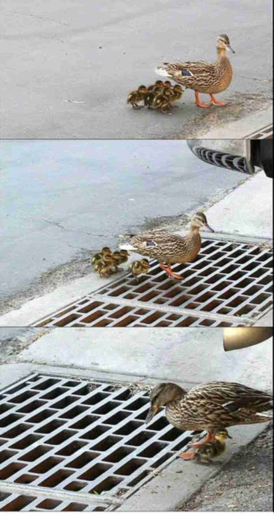 笑い事じゃないけど笑えてしまった大惨事
