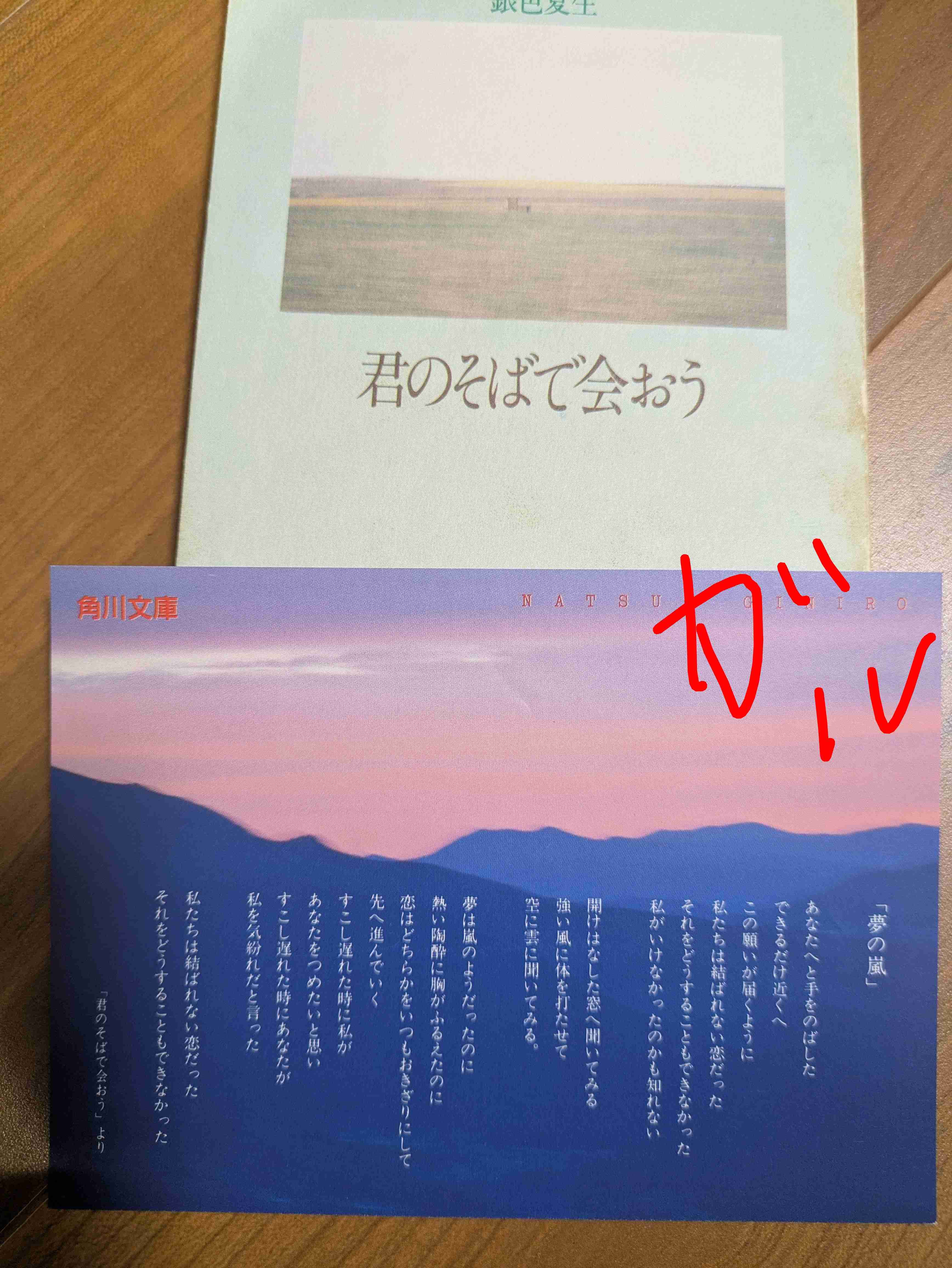 銀色夏生さん好きな人