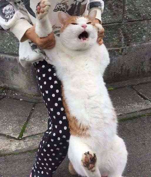 欲しいものを言うとガル民が画像でプレゼントしてくれるトピPart14