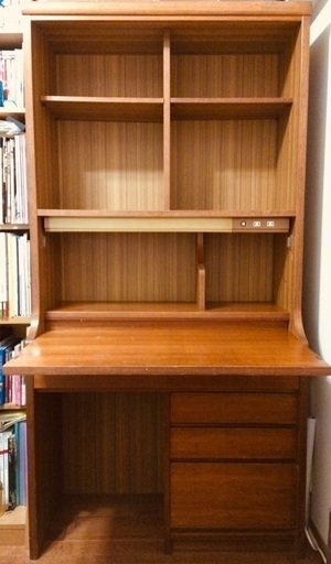 こども部屋に住む大人の子供
