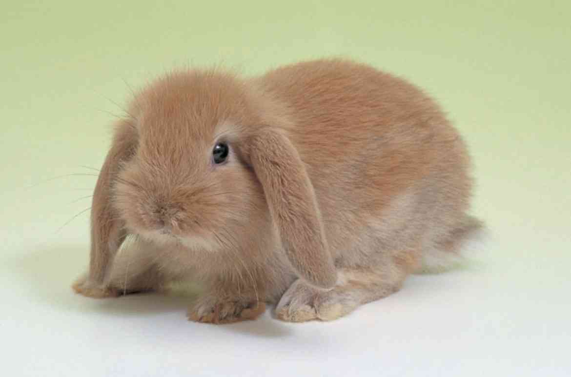 子供のころの宝物