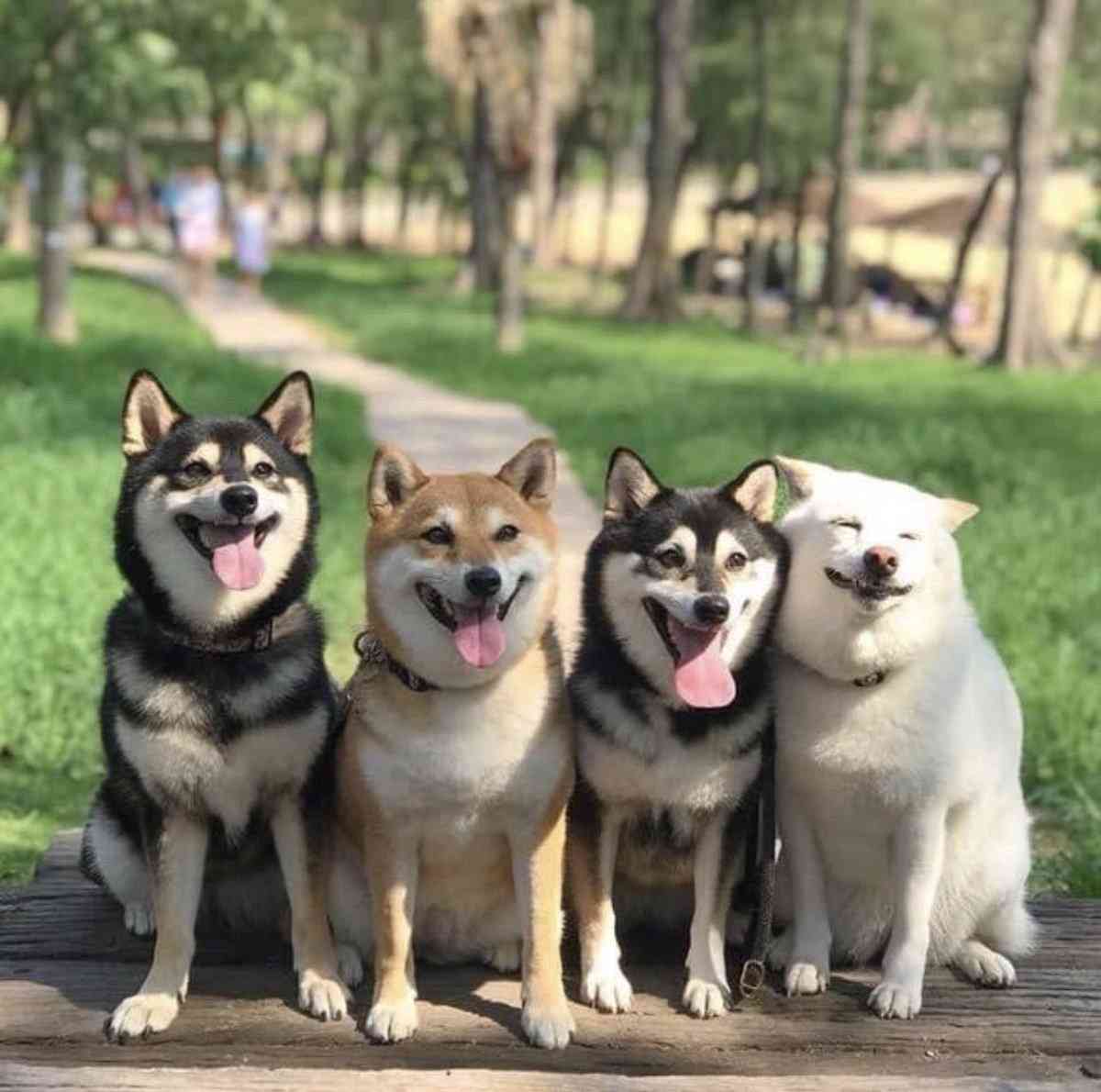 みんな楽しいことある？教えて