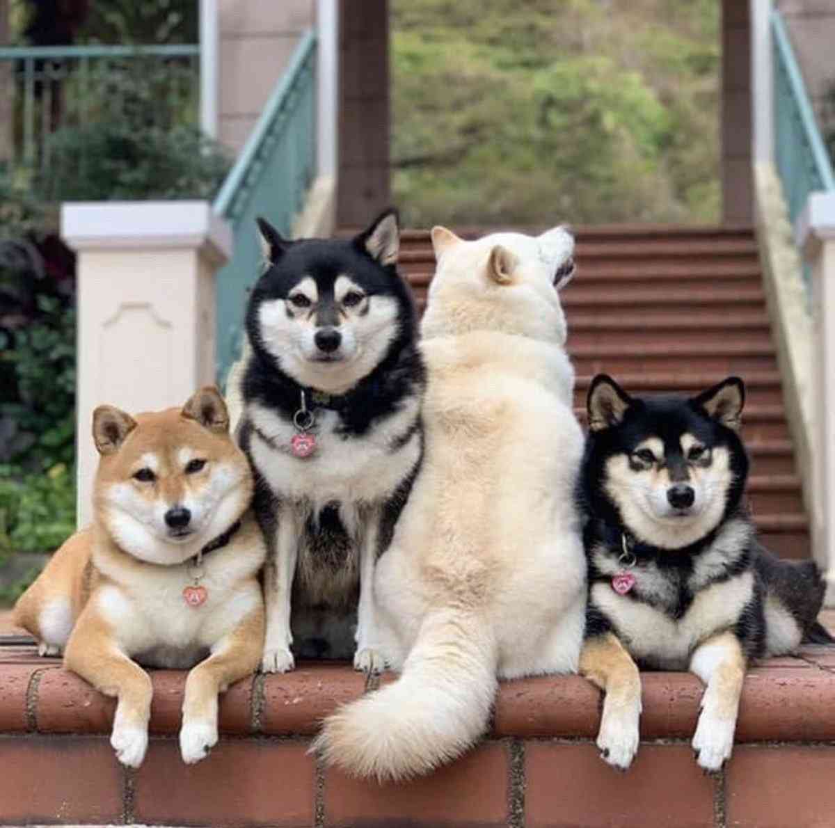 みんな楽しいことある？教えて