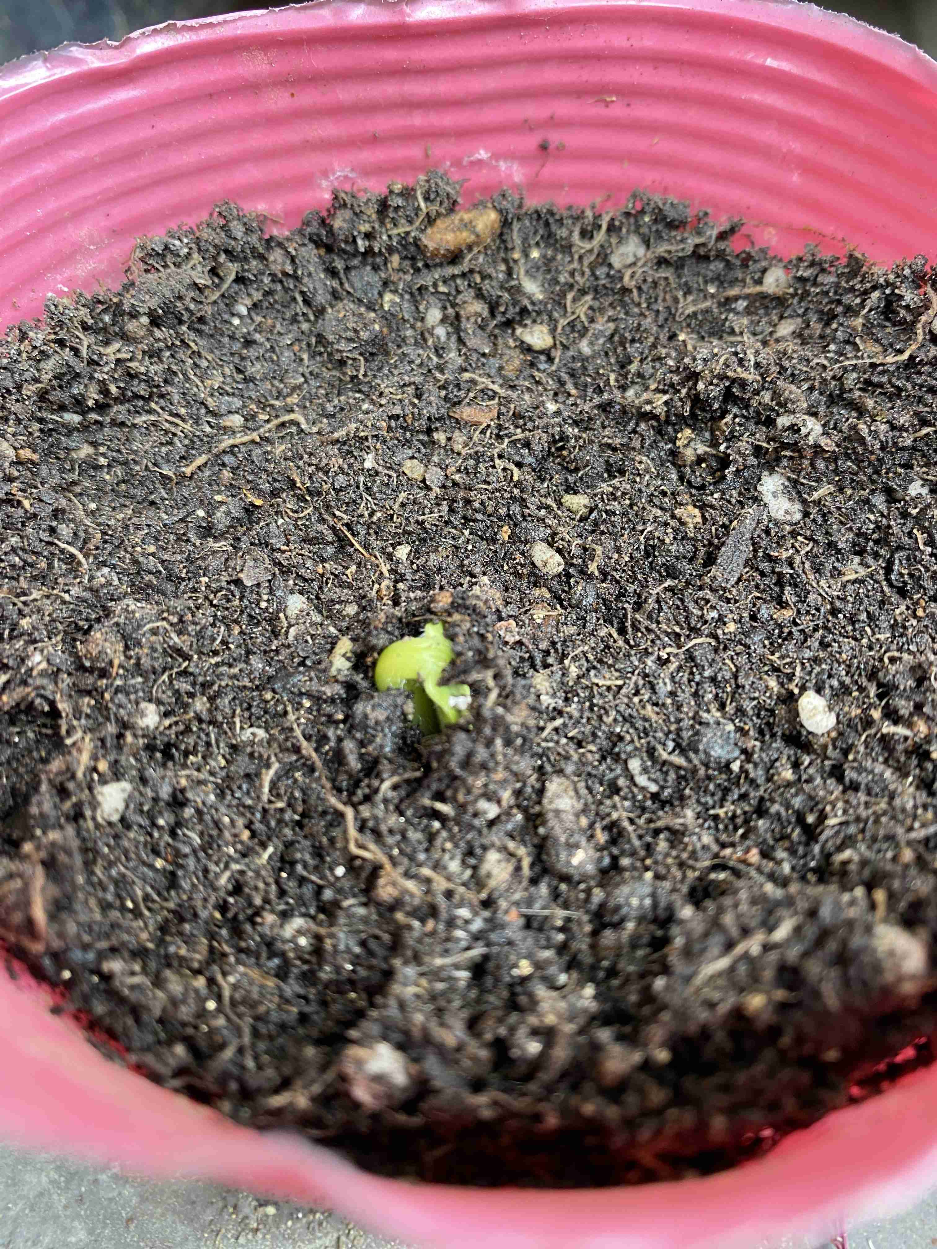 みんな楽しいことある？教えて