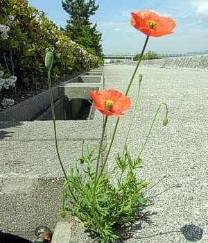 みんな楽しいことある？教えて