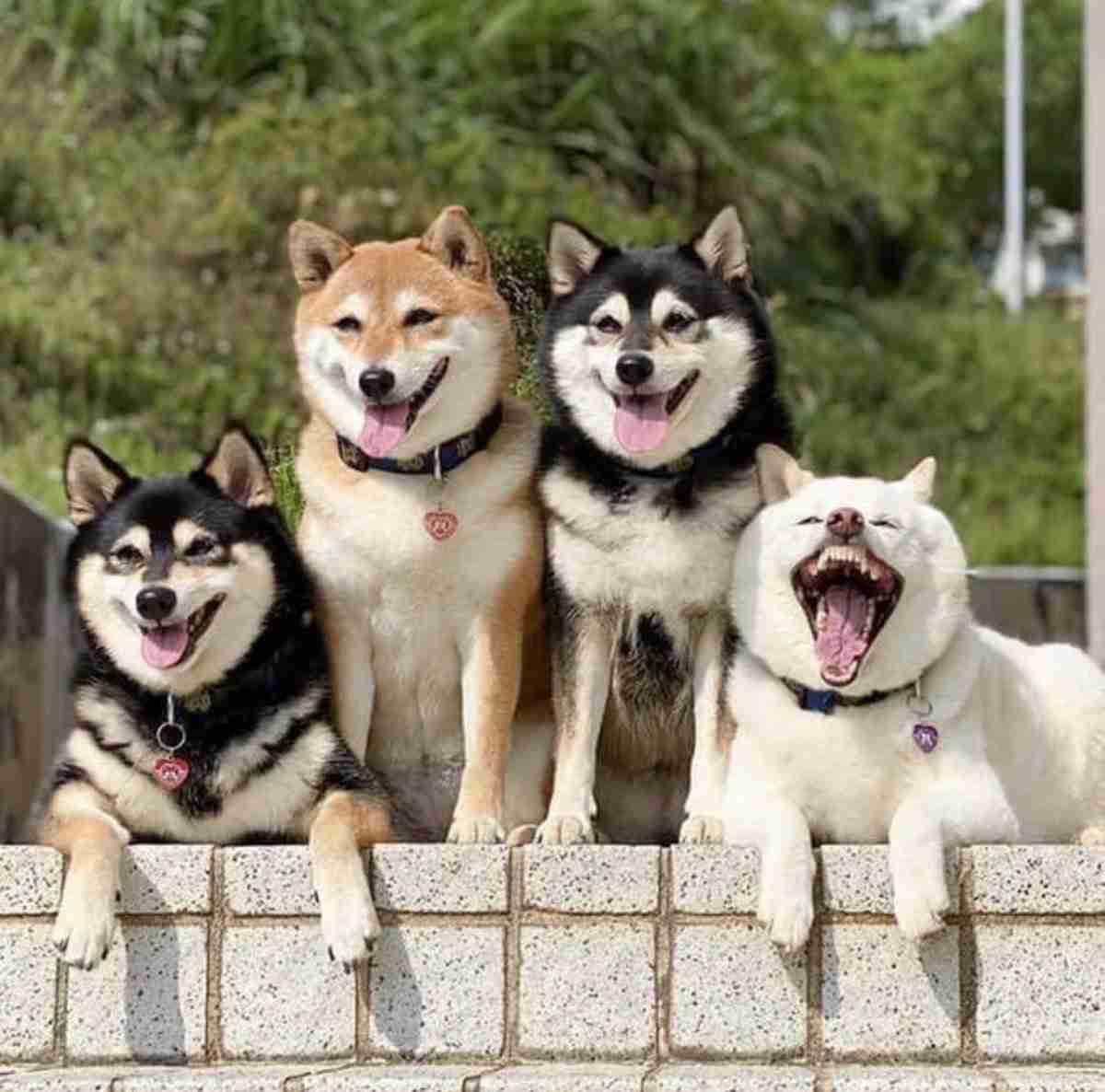 みんな楽しいことある？教えて