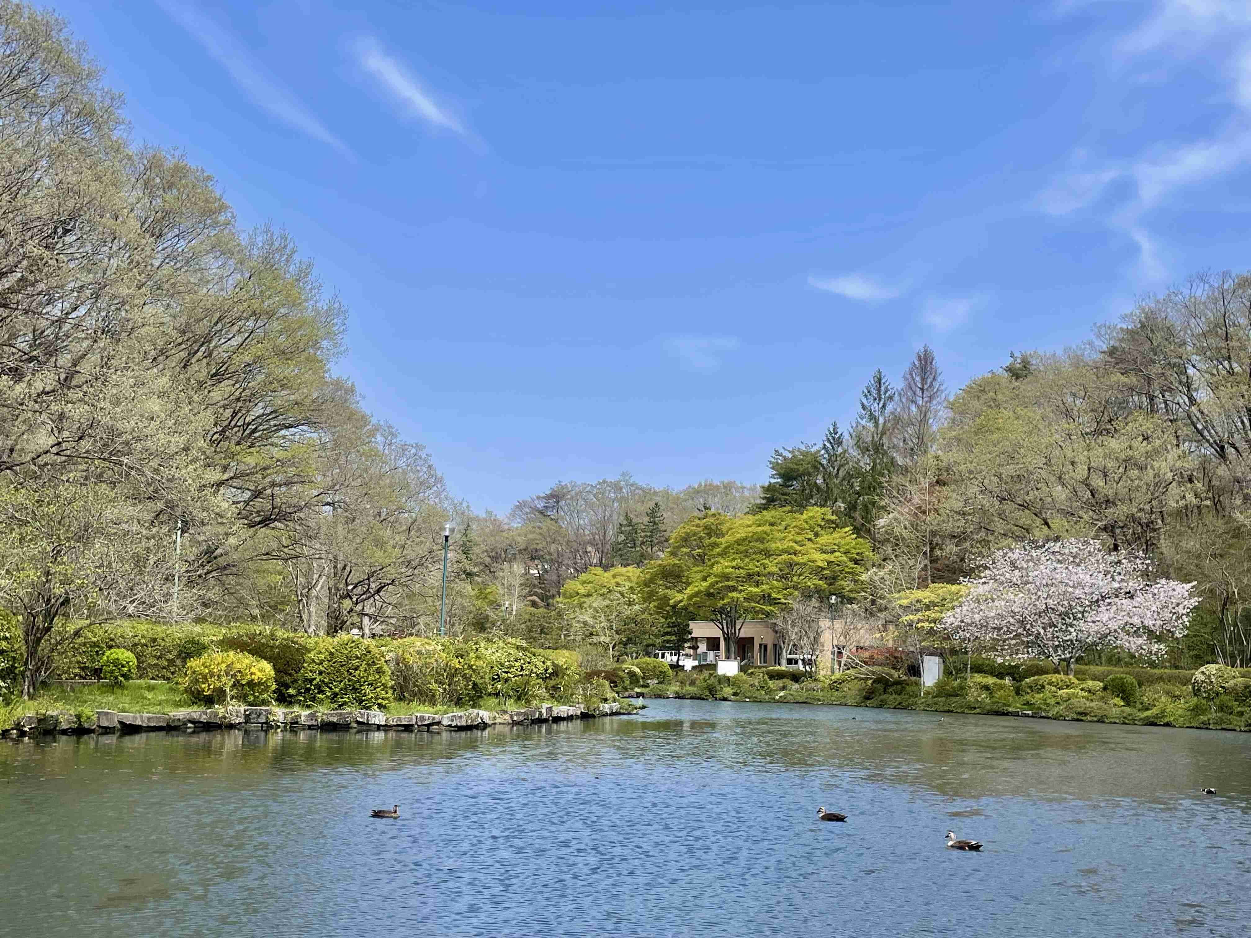 みんな楽しいことある？教えて