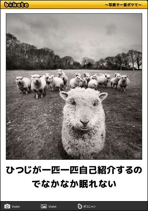 眠れない夜に数える羊、効果薄だった 専門家が“眠りやすくなる言葉”明かす