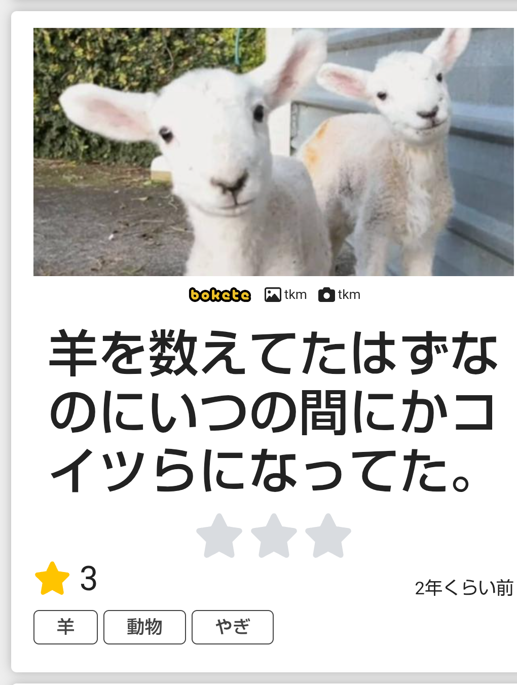 眠れない夜に数える羊、効果薄だった 専門家が“眠りやすくなる言葉”明かす