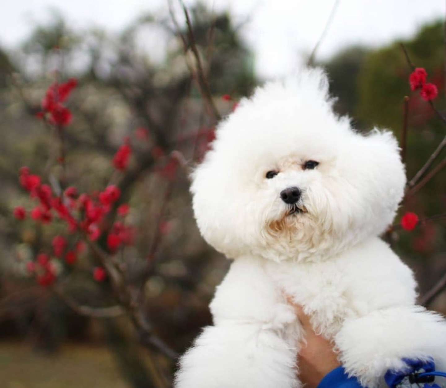 ?一体どうして?