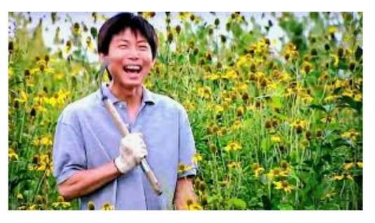 そのオレンジの花、絶対に触ってはいけない理由。東京農大の注意喚起に「よく見かける」「毎年庭に…」