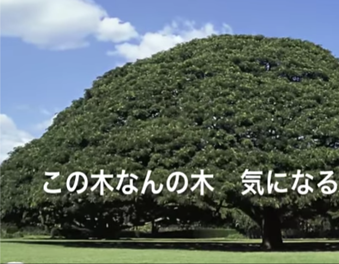 皆さん、友達はどんな人ですか?