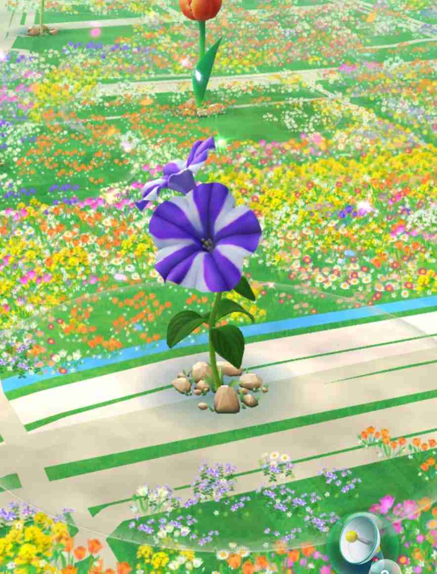 Pikmin Bloom（ピクミンブルーム）ピクミンとおでかけしよう🌷Part.29🌷